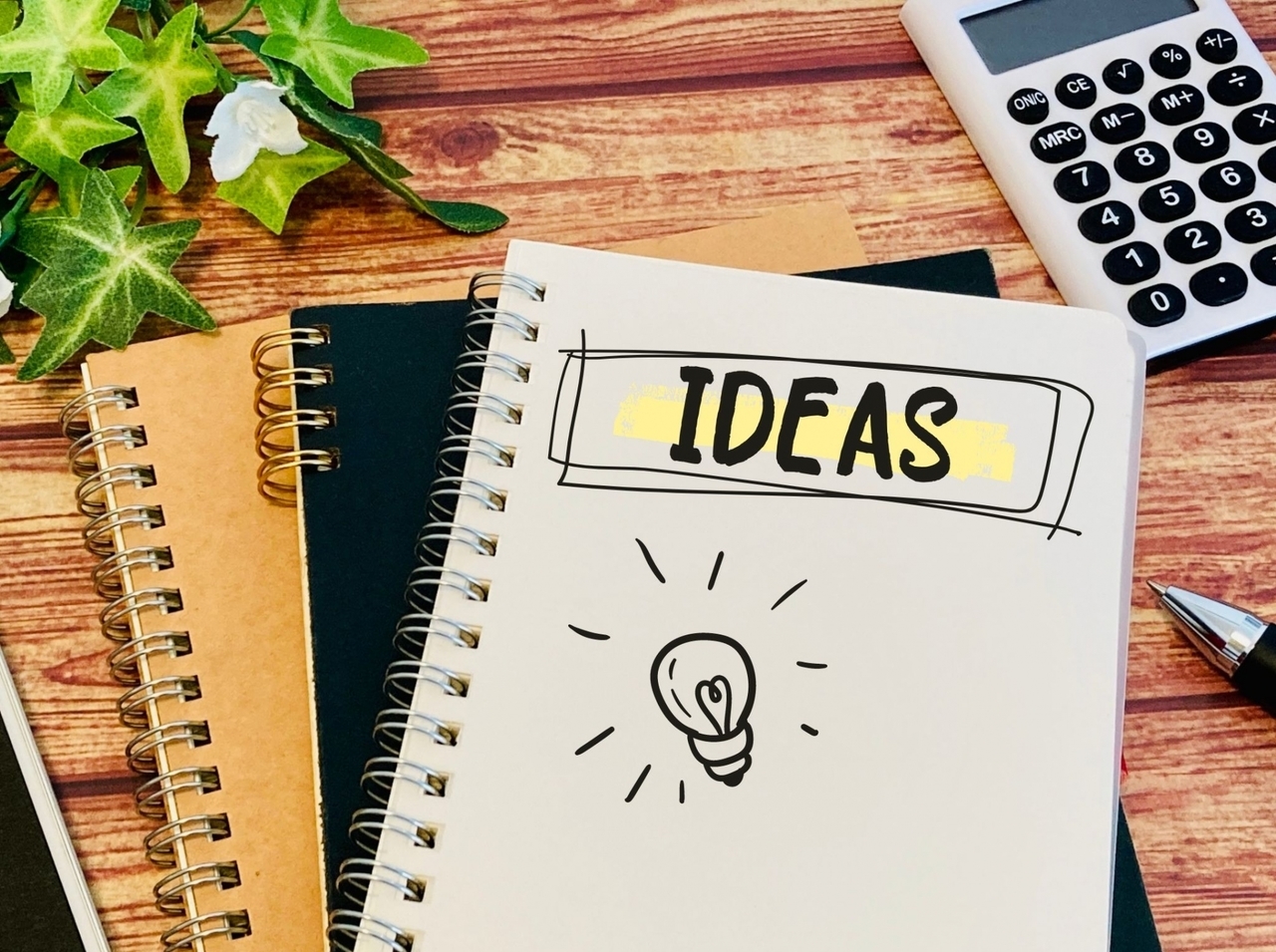 IDEAS