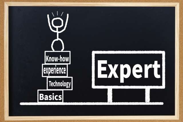 Expert